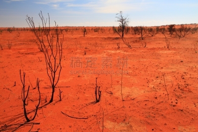 烧毁的,沙漠,澳大利亚,辛普森沙漠,半干旱,北领地州,南澳大利亚,西澳大利亚,水平画幅,沙子