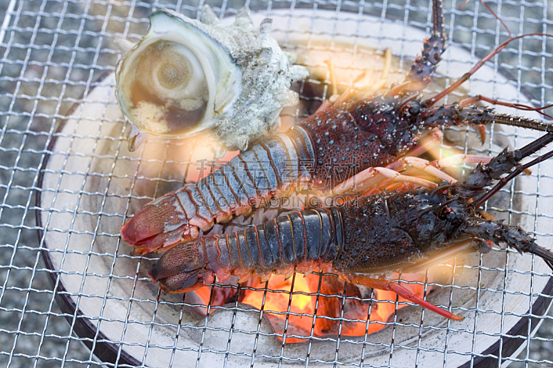 海螺,龙虾,碳烤,扇贝,水平画幅,无人,海产,户外,烟,烹调