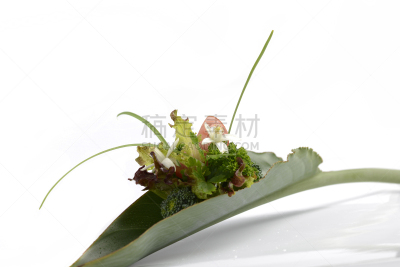 沙拉,蔬菜,lollo rosso,倾斜视角,清新,背景分离,莴苣,多样,食品,西兰花