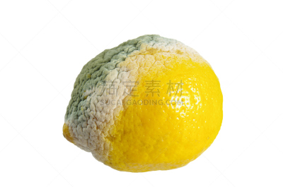 柠檬,霉菌,自然,水平画幅,水果,不健康食物,青霉菌,有毒生物体,残酷的,背景分离