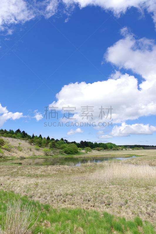 Yashima marshland（Nagano prefecture）