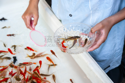 捞金鱼,传统,盂兰盆节,红色,事件,夜市,休闲游戏,图像,传统节日,无人
