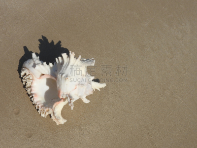 斯特兰德,自然,水,水平画幅,沙子,套色版,夏天,海岸地形,异国情调,户外