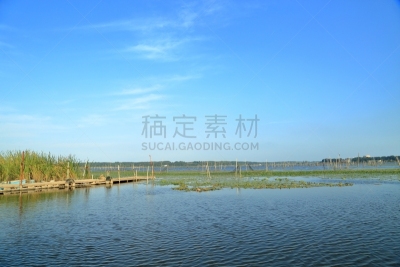 地形,藓沼,水,天空,公园,里山,草原,水平画幅,夏天,沼泽