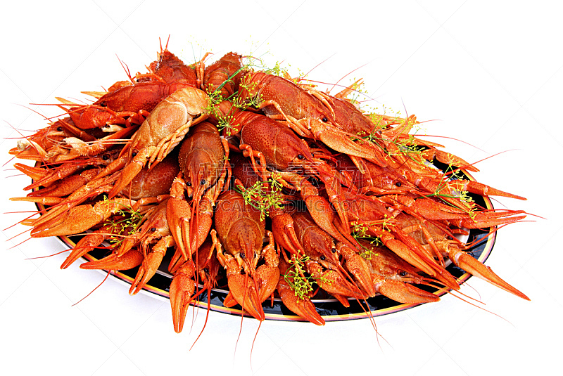 螯虾,莳萝,餐盘,白色,红色,瑞典,海产,背景分离,饮食,食品