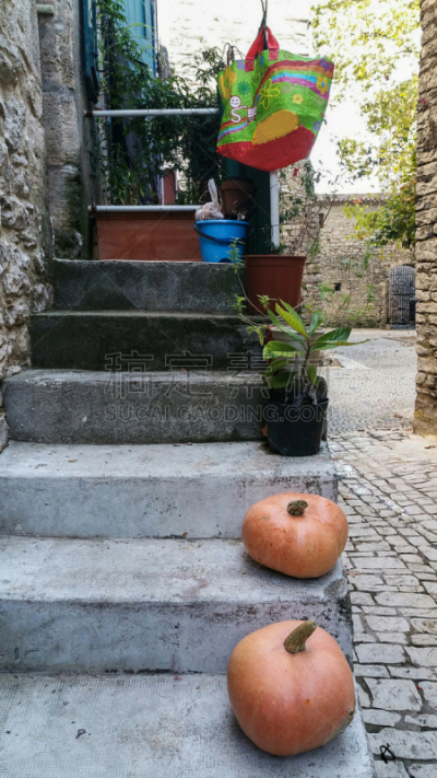Escaliers dans le village médiéval de la Couvertoirade en Aveyron - Sud de la France