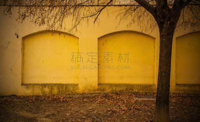 围墙,黄色,萨格勒布,后院,树干,秃树,落叶树,户外,建筑,庭院