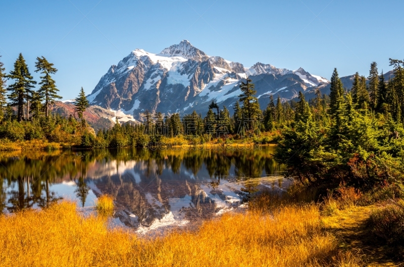 秋天,舒克森山,美国西北太平洋地区,华盛顿州,公园,华特康县,北喀斯开山脉,草,自然美,饮用水