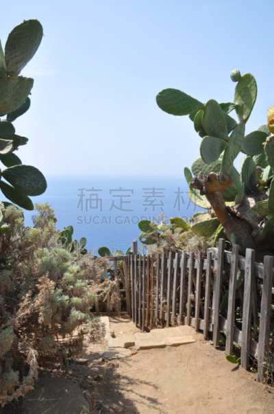 意大利,小路,徒步旅行,仙人掌果,卡拉布里亚,自然,垂直画幅,无人,夏天,户外