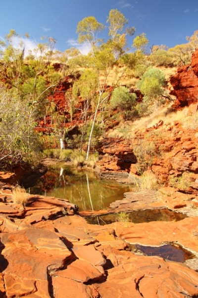 澳大利亚,温诺峡谷,the pilbara,沙漠绿洲,西澳大利亚,偏远地区,垂直画幅,水,气候,沟壑