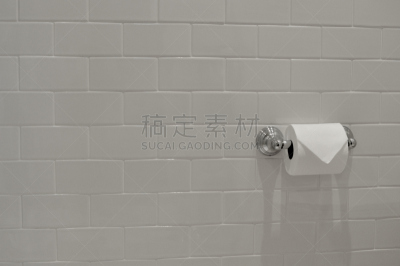 浴室,白色,卫生纸,地铁,瓷砖,拿着,水平画幅,银色,无人,家庭生活