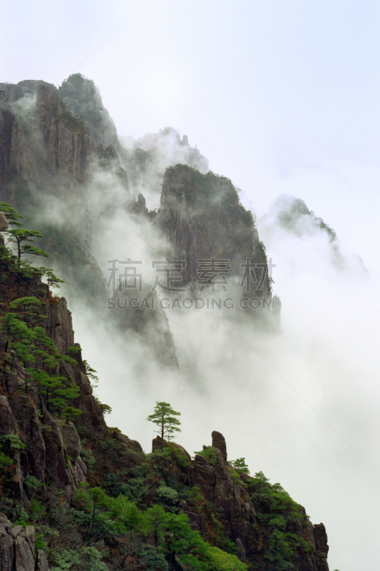 地形,黄山,安徽省,自然,垂直画幅,松树,山,无人,户外,航拍视角