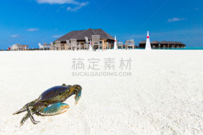螃蟹,海滩,柯大寨大队,斯米兰群岛,自然,水,天空,水平画幅,沙子,无人