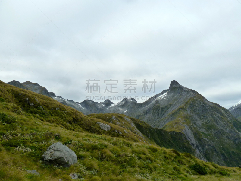 麦金农山口,山脊,milford track,勒马前行,自然,山口,水平画幅,夏天,户外,野生植物