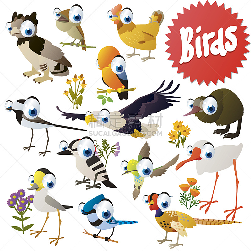 鸟类,矢量,卡通,休闲游戏,背景分离,鹬鸵,动物,儿童,植物,符号