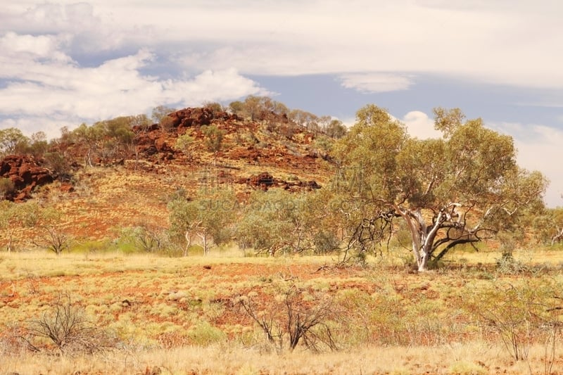 偏远地区,澳大利亚,三齿稃,the pilbara,半干旱,美,公园,西澳大利亚,水平画幅,山