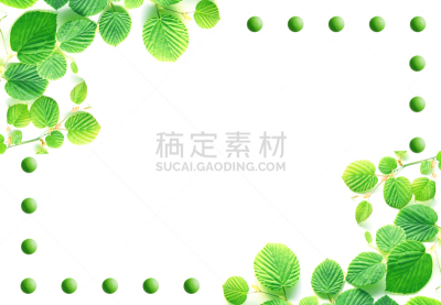环境,叶子,绿色,图像,合成图像,留白,边框,水平画幅,枝繁叶茂,无人