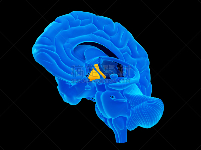 健康保健,挑染,水平画幅,蓝色,绘画插图,人,科学,计算机制图,计算机图形学,生物学