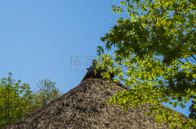 茅屋屋顶,岩手县,江户时代,屋檐,水平画幅,古老的,户外,图像,居住区,稻草