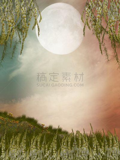 地形,巫术,垂直画幅,天空,公主,月亮,鸟类,户外,草,云景