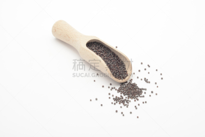 褐色,芥末,木匙,谷类,水平画幅,无人,香料,意大利面和生西红柿,西班牙,室内