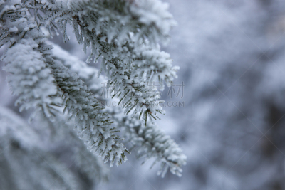 冬天,加拿大,天空,水平画幅,雪,无人,户外,雪燕,戏剧性的天空,北美