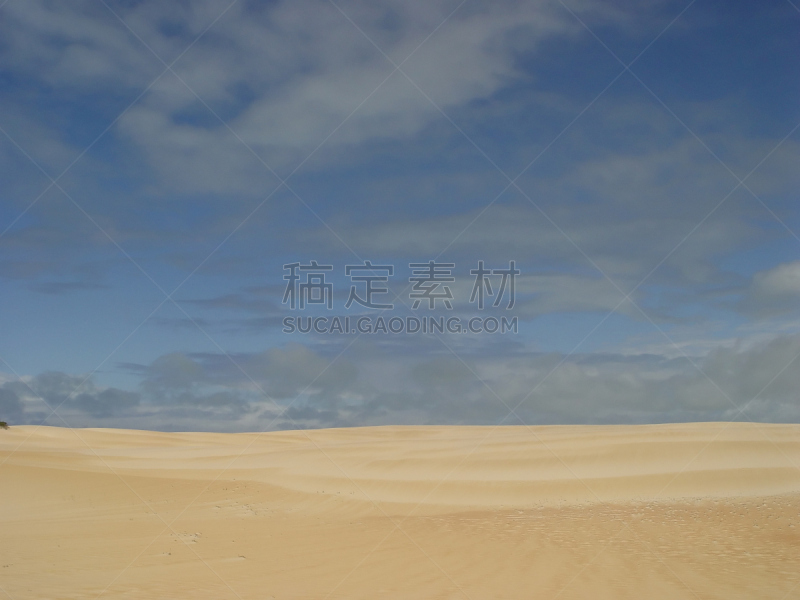 沙丘,金色,绿柱石,蓝宝石,小鹿,纤细的,晒黑,天空,水平画幅,山