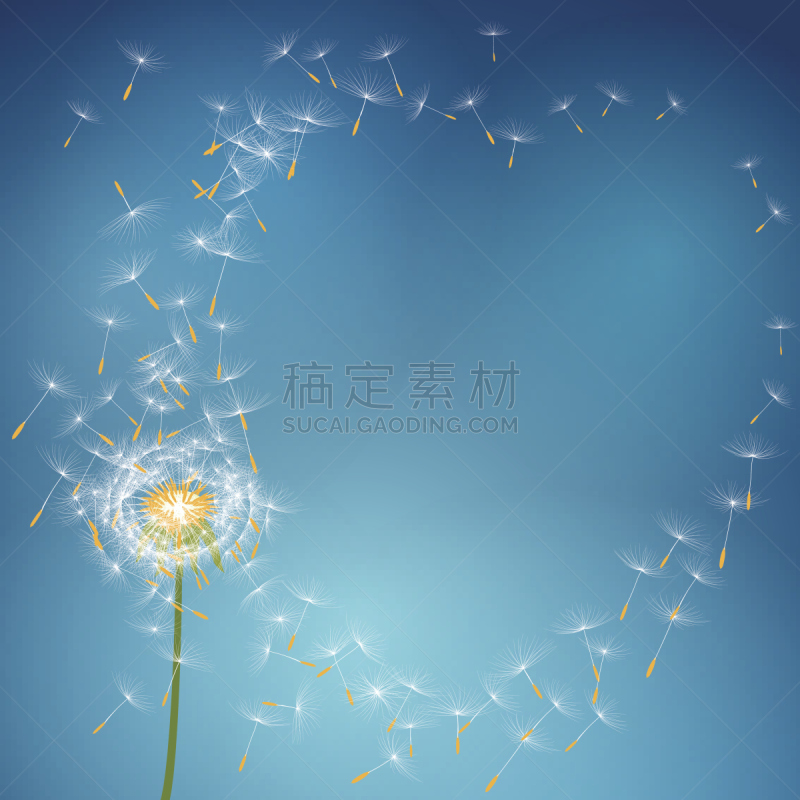 蒲公英,种子,仅一朵花,风,让,蒲公英种子,清新,起飞,过敏,吹