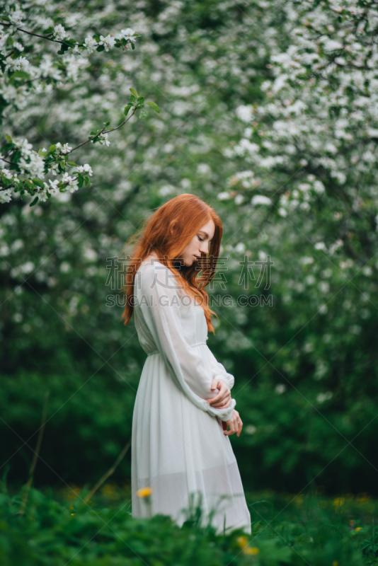 女孩,红色,自然美,白色长裙,花朵,垂直画幅,美,园艺,美人,夏天