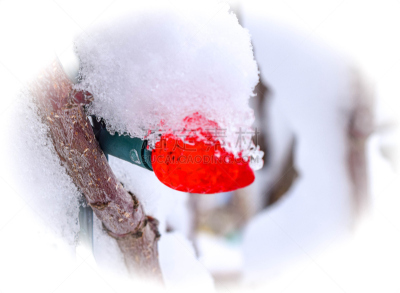 圣诞小彩灯,圣诞装饰物,水平画幅,冬天,雪,无人,红灯,摄影,照亮