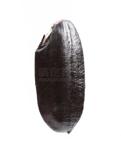 黑米,黑糯米,粳米,全麦,垂直画幅,纹理效果,素食,无人,特写,农作物