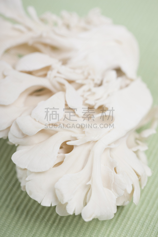 舞茸蘑菇,垂直画幅,无人,成分,蘑菇,蔬菜,食品,影棚拍摄,摄影