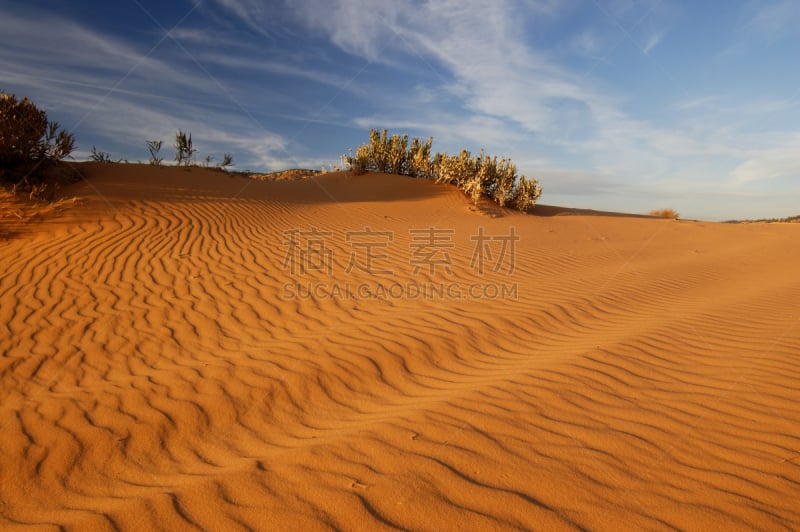 沙子,波纹,天空,云,珊瑚红沙丘州立公园,公园,水平画幅,无人,阴影,干的