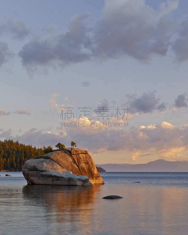 太浩湖,盆景,岩石,山德港,垂直画幅,水,松树,美国,旅游目的地,地形