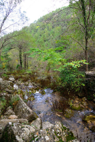 自然,河流,西班牙,新生活,阿尔瓦塞特,住房,欧洲,白昼,垂直画幅,卡斯蒂利亚-拉曼恰
