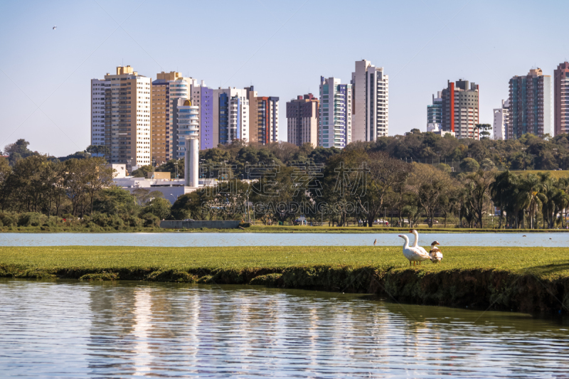 公园,湖,都市风景,库里蒂巴,巴西,雁属,城市天际线,巴拉那洲,水,天空