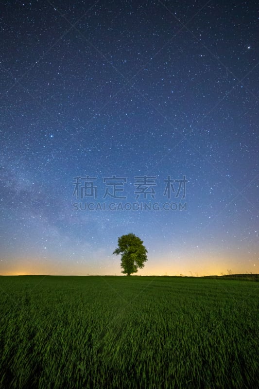 银河系,寂寞,田园风光,垂直画幅,天空,星系,星星,夜晚,夏天,阴影