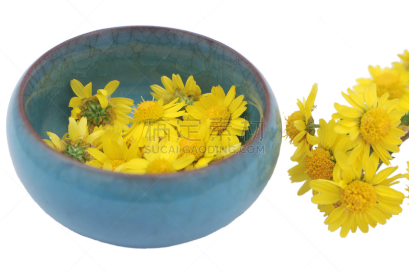 菊花,自然,美,式样,水平画幅,绿色,秋天,夏天,特写,明亮