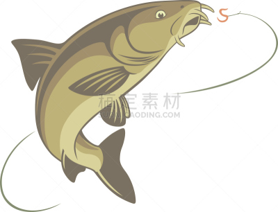 鱼类,鲃鱼,巨魔,淡水,运动,清新,背景分离,食品,野生动物,动物