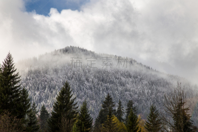 雾,林荫大道,阿沃里阿兹,morzine,自然,水平画幅,秋天,雪,无人,户外