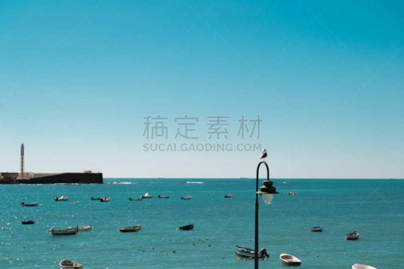 加的斯,帕雅-德拉卡勒塔,海滩,天空,水平画幅,沙子,无人,鸟类,大西洋,夏天