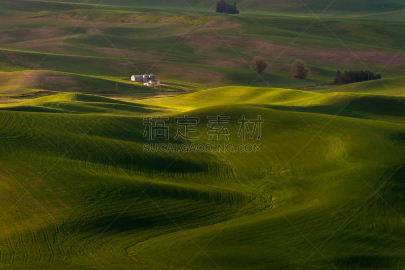 帕卢斯,华盛顿州,斯泰普托埃尖峰山州立公园,孤峰群,州立公园,水平画幅,枝繁叶茂,山,无人,户外