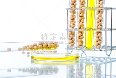 转基因,植物细胞,大豆,皮氏培养皿,试管,灵感,生物科技,水平画幅,无人