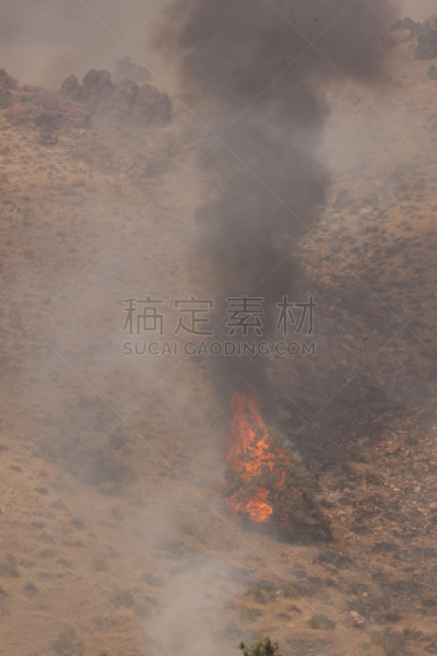 火,沙漠,灌木,格兰德河山谷,垂直画幅,无人,篝火,夏天,户外,燃烧