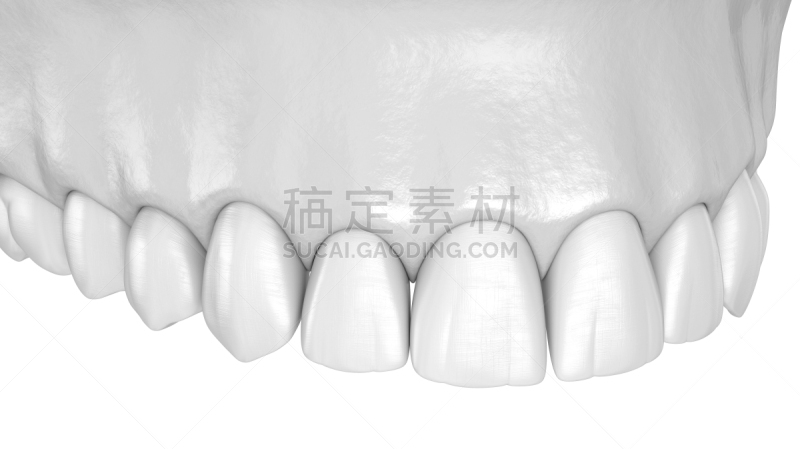 绘画插图,人,牙齿,准确,三维图形,人的牙齿,口腔卫生,健康保健,形态学,二叶