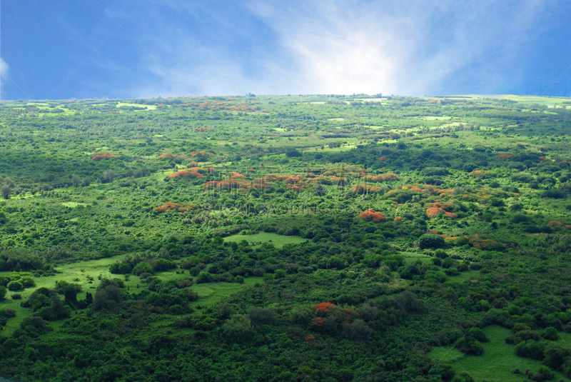 北马里亚纳群岛,航拍视角,岛,tinian,美,旅游目的地,水平画幅,绿色,枝繁叶茂,地形