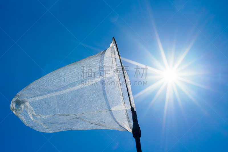蝴蝶网,网,天空,昆虫,航拍视角,海洋,自由式滑雪空中技巧,编队飞行,陷阱,个人随身用品