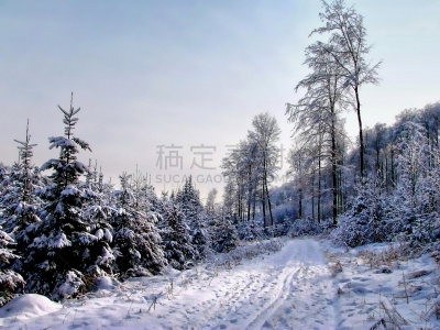 冬天,条顿堡林山,地形,自然,天空,非都市风光,水平画幅,雪,无人,欧洲
