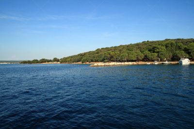 布里俄尼群岛,伊斯特拉,自然,水,松树,水平画幅,无人,水平线,夏天,户外