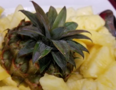 盘子,菠萝,摩托艇,旅途,热带气候,电动拖板,果汁,蛋塔,甜点沙司,甜点心
